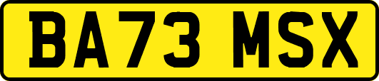 BA73MSX
