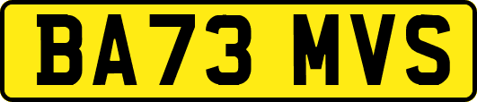 BA73MVS