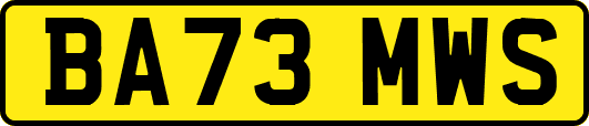 BA73MWS