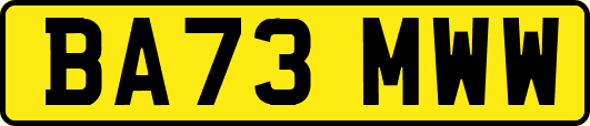 BA73MWW