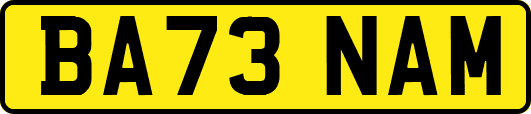 BA73NAM