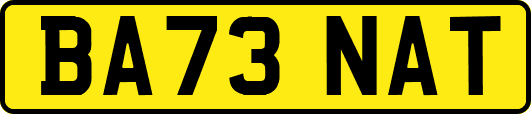 BA73NAT