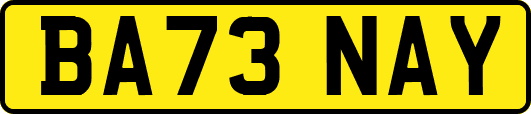 BA73NAY