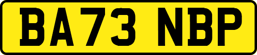 BA73NBP