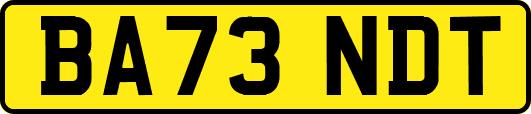 BA73NDT
