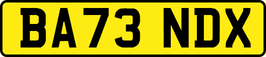 BA73NDX