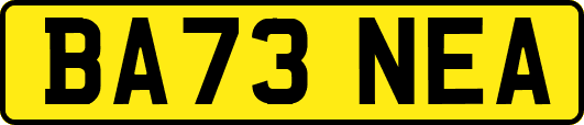 BA73NEA