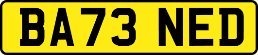 BA73NED