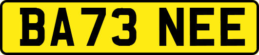 BA73NEE