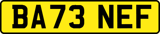BA73NEF