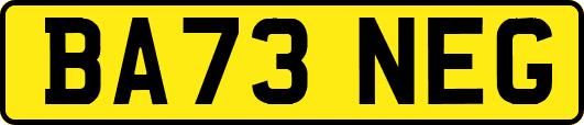 BA73NEG