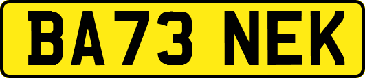 BA73NEK
