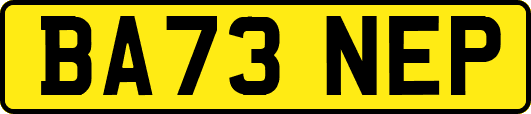 BA73NEP