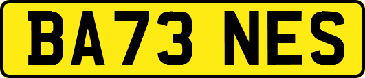 BA73NES