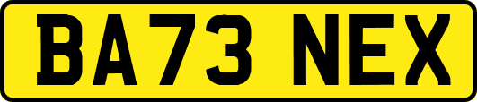BA73NEX