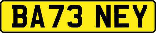 BA73NEY