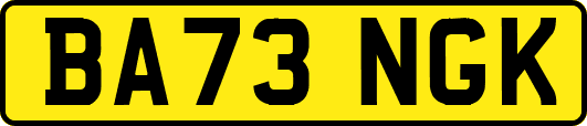 BA73NGK