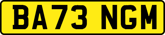 BA73NGM