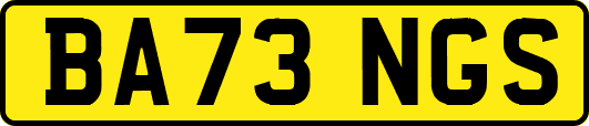 BA73NGS
