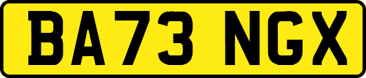 BA73NGX