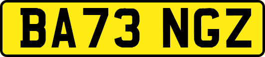 BA73NGZ