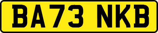 BA73NKB
