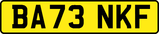 BA73NKF