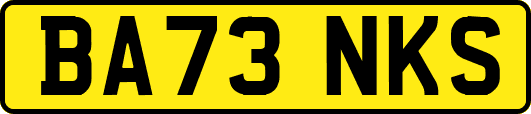 BA73NKS