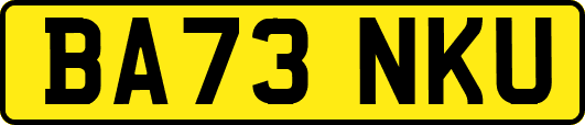 BA73NKU
