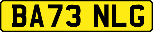 BA73NLG