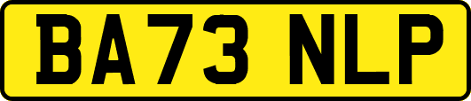 BA73NLP