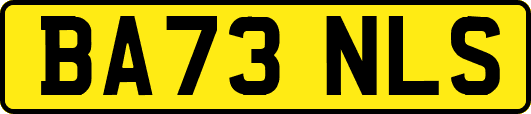 BA73NLS
