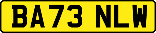 BA73NLW
