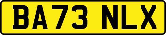 BA73NLX