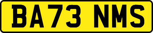 BA73NMS