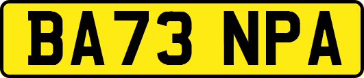 BA73NPA