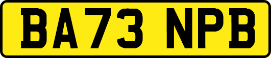 BA73NPB