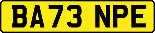 BA73NPE