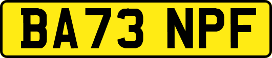 BA73NPF