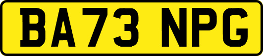BA73NPG
