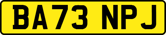 BA73NPJ