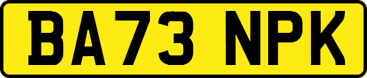 BA73NPK