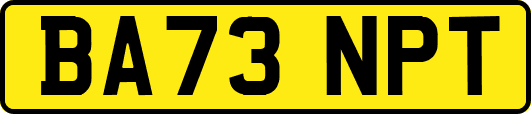 BA73NPT