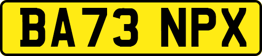 BA73NPX