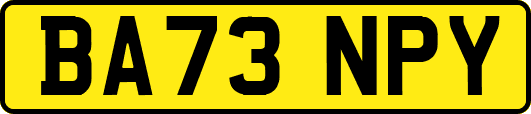 BA73NPY