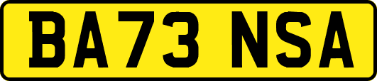 BA73NSA