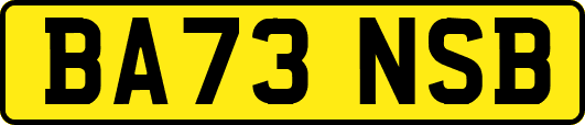 BA73NSB