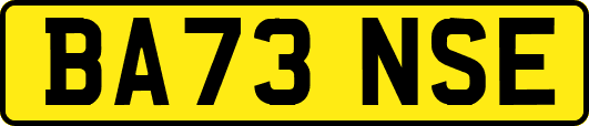 BA73NSE