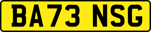 BA73NSG