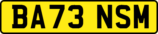 BA73NSM
